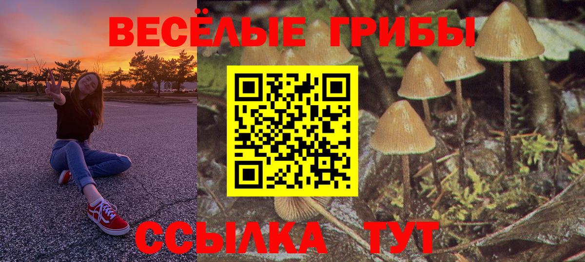 Псилоцибиновые грибы Cubensis  Вход с VPN  Рязань 
