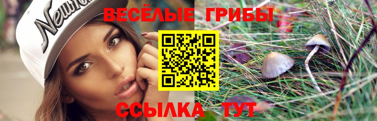 Галлюциногенные грибы ЛСД Рязань
